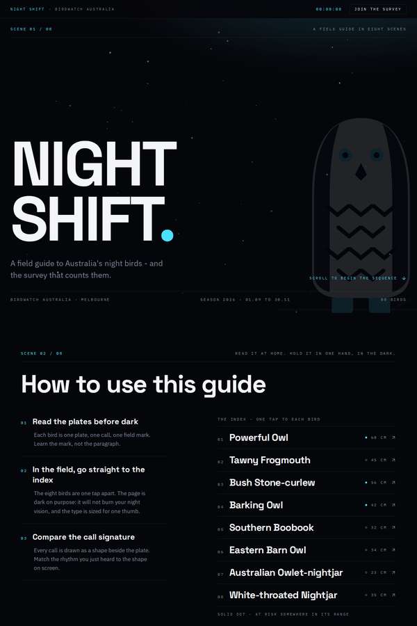 kimi-k3 build of Night Shift nocturnal bird field guide